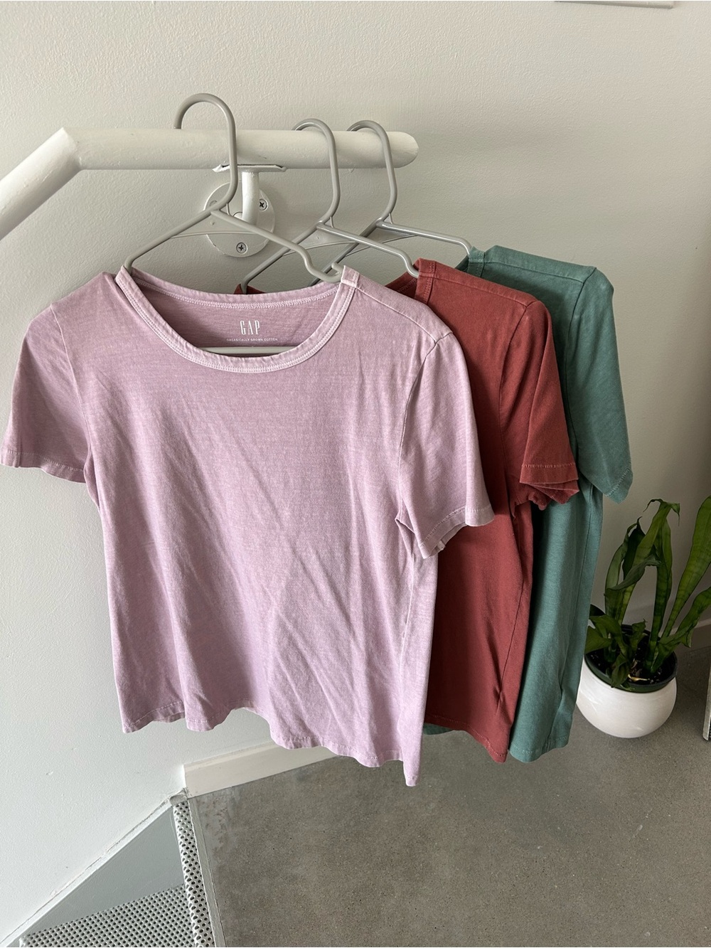 GAP 100% Organic Cotton Tees